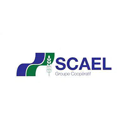 SCAEL